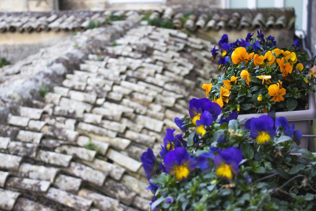 Vila Le Violette Matera Exteriér fotografie